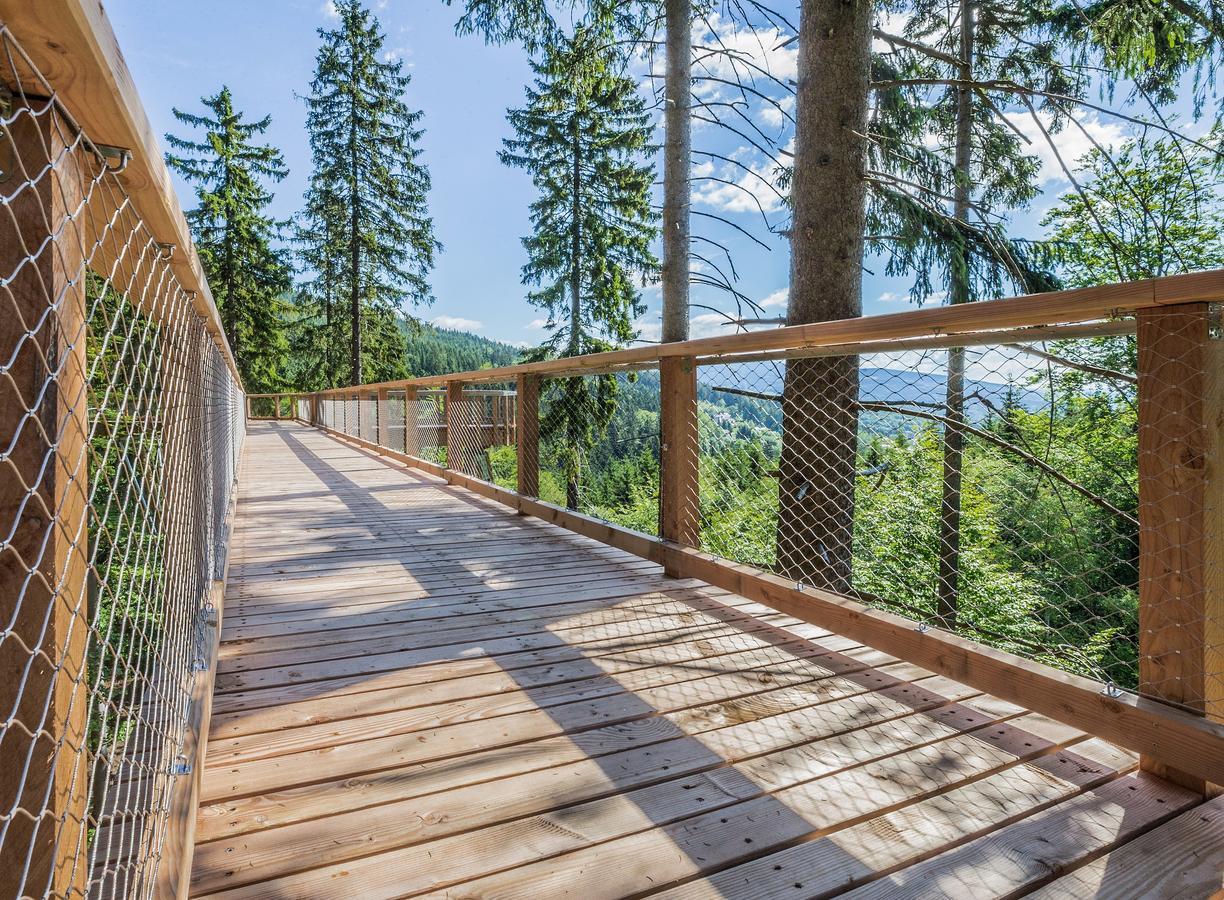Ski Hotel Svoboda nad Úpou المظهر الخارجي الصورة