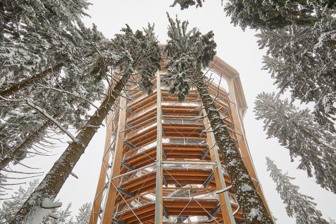 Ski Hotel Svoboda nad Úpou المظهر الخارجي الصورة