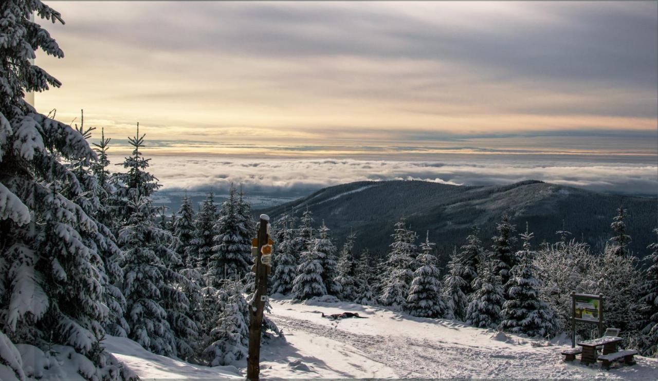 Ski Hotel Svoboda nad Úpou المظهر الخارجي الصورة